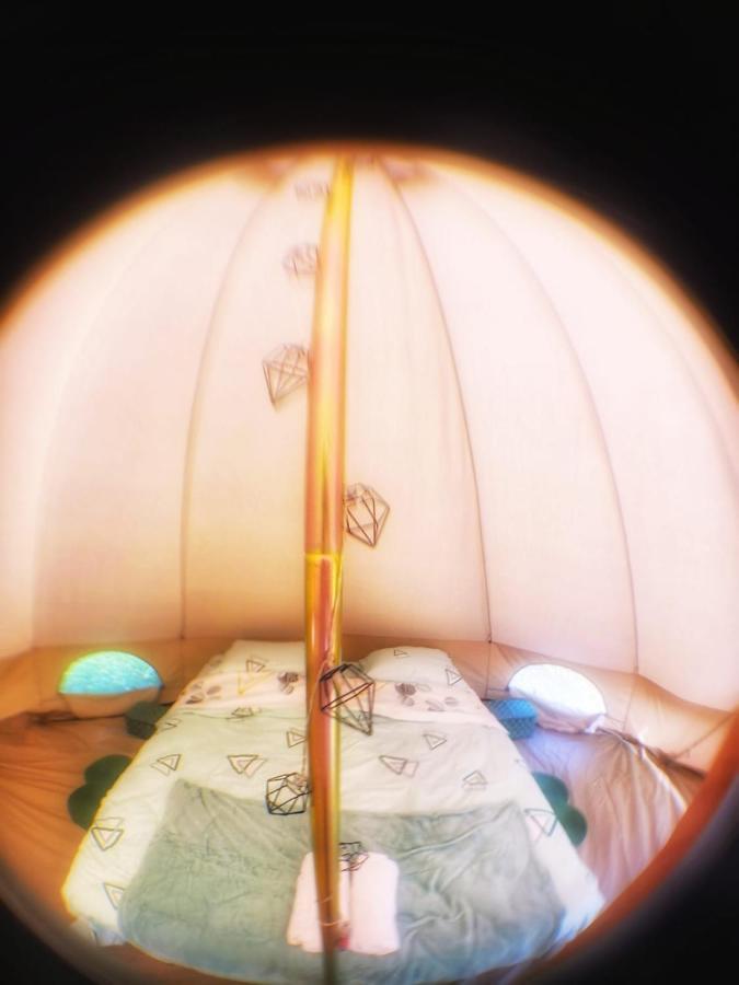 Luna Rock Glamping Brezoi - Blue Scai Exterior foto